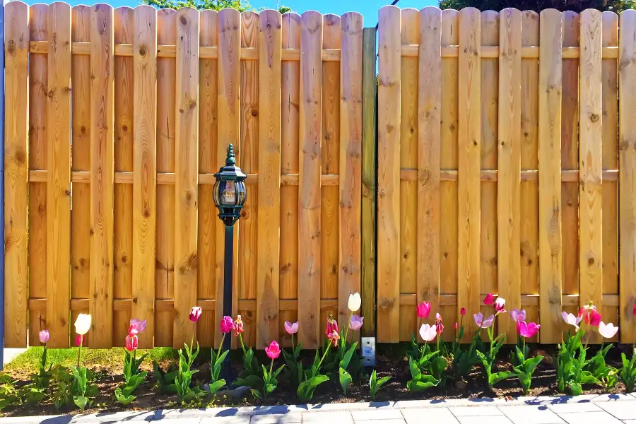 Fence Maintenance