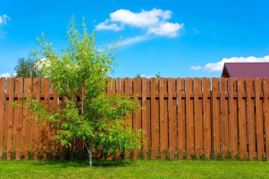 Fencing Installation